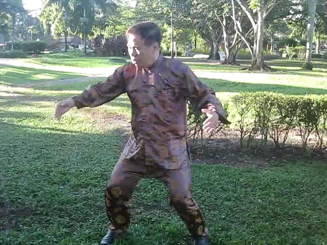 Sun Style Taijiquan